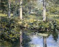 El paisaje impresionista de Duck Pond Theodore Robinson